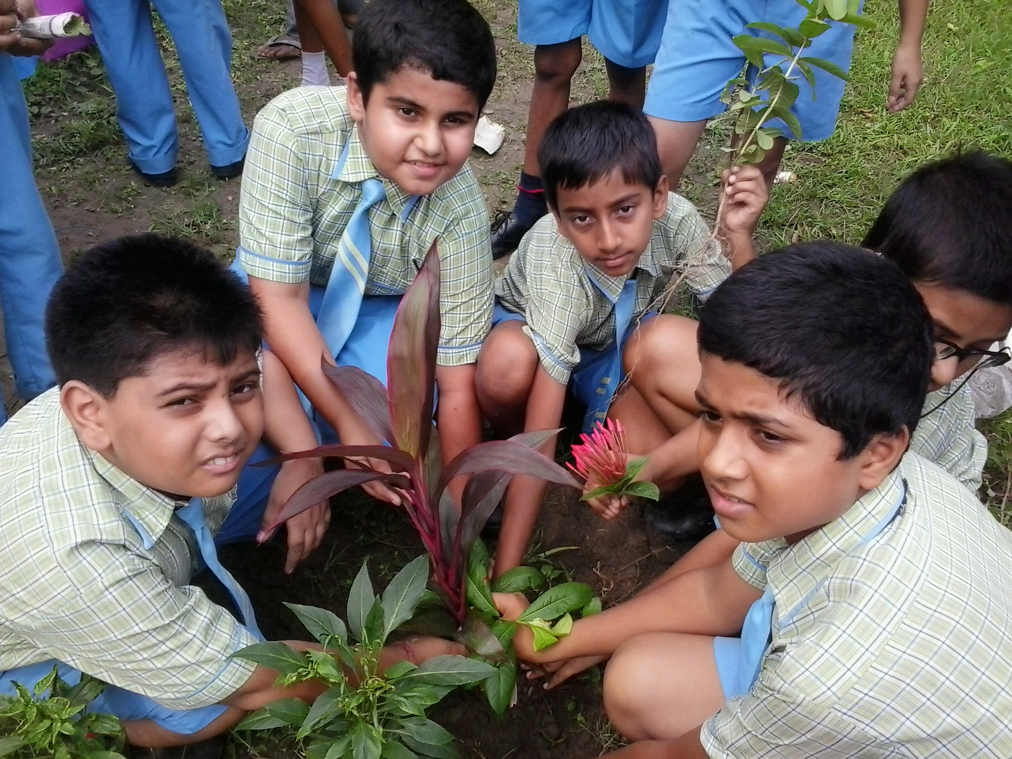 Environmental Awareness of students at Kalyani Public School, Salt Lake